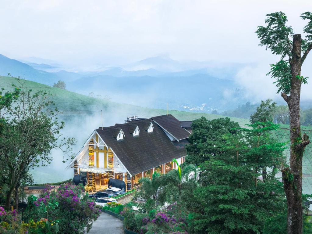 Scenic view of Munnar, Kerala